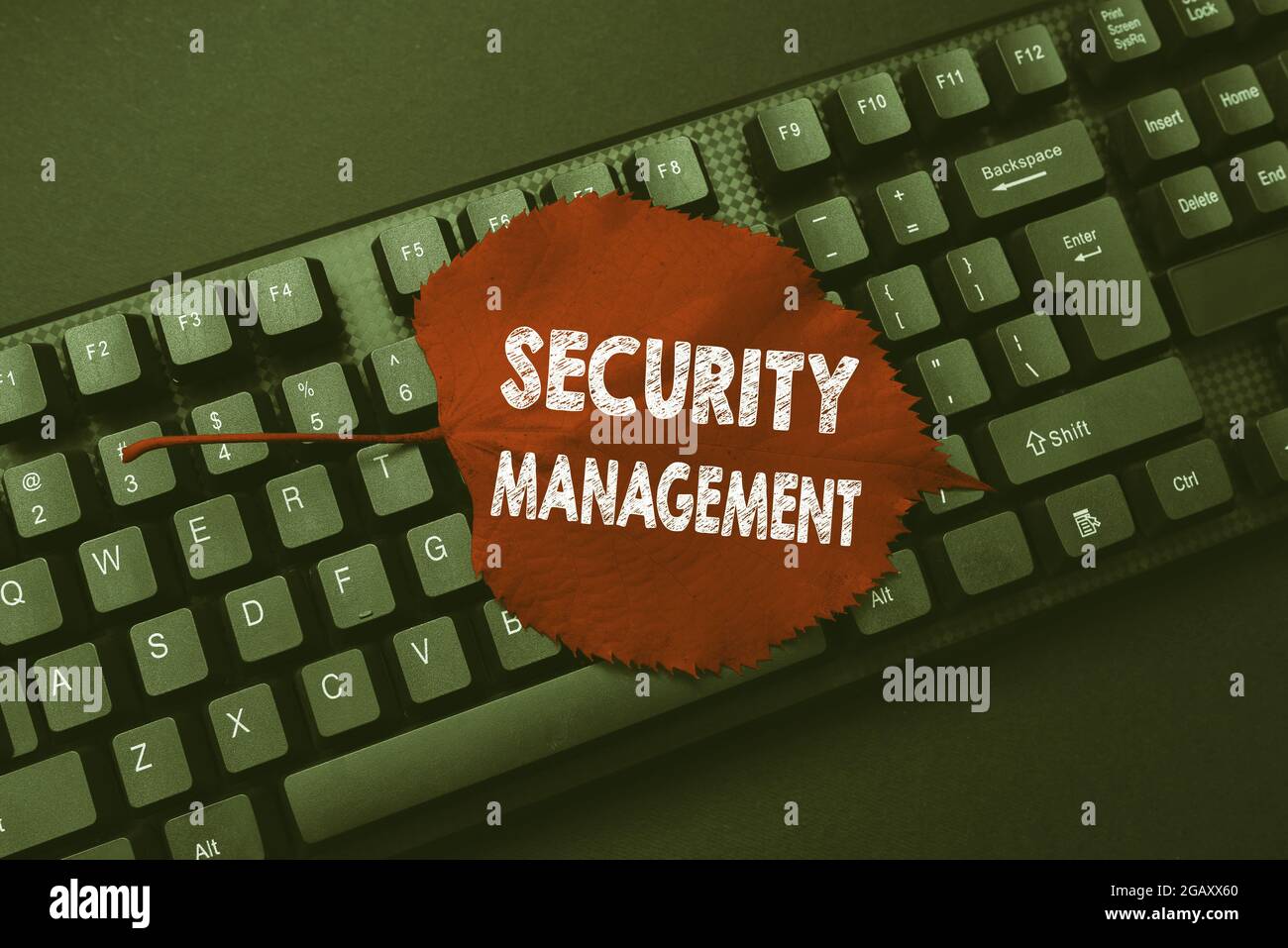 Hand writing sign Security Management. Business idea is the ...