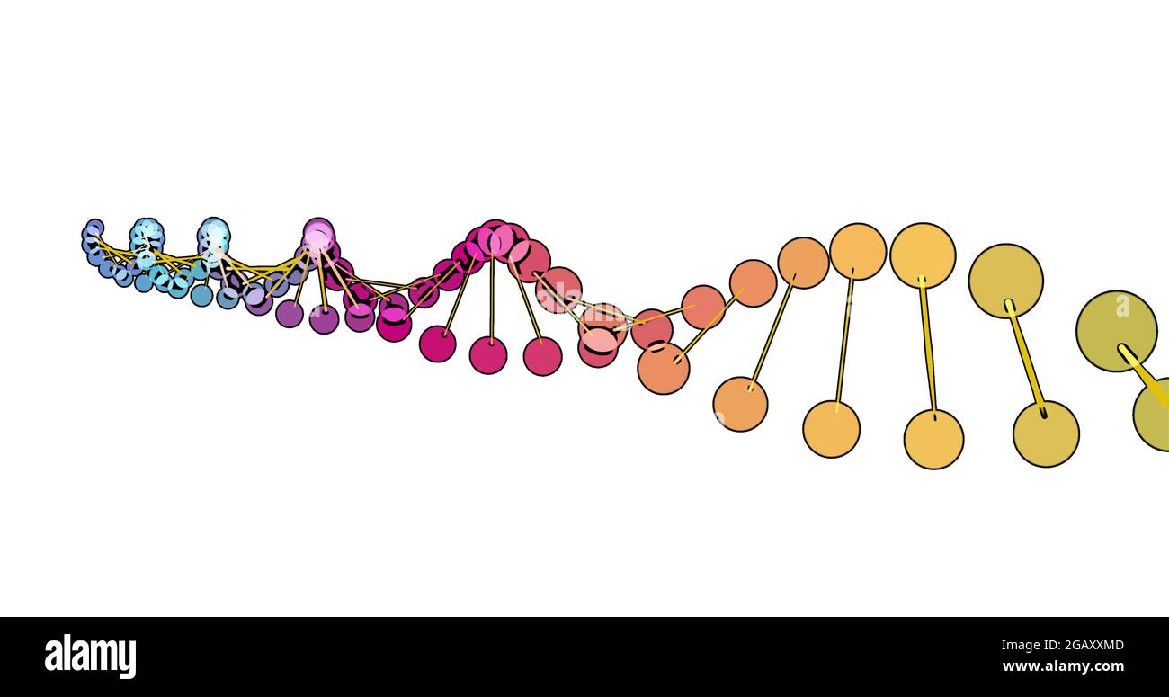 color visualization of DNA analysis isolated on white background 3d rotation animation, for montage and medical training. High quality 4k footage Stock Photo