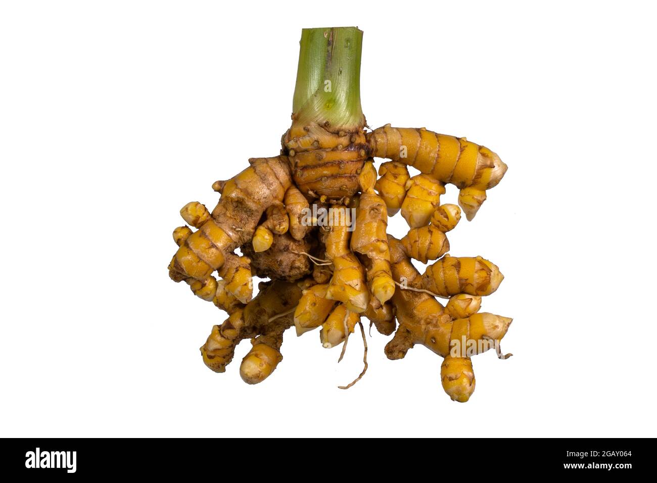 turmeric root, and ground spice Stock Photo Alamy