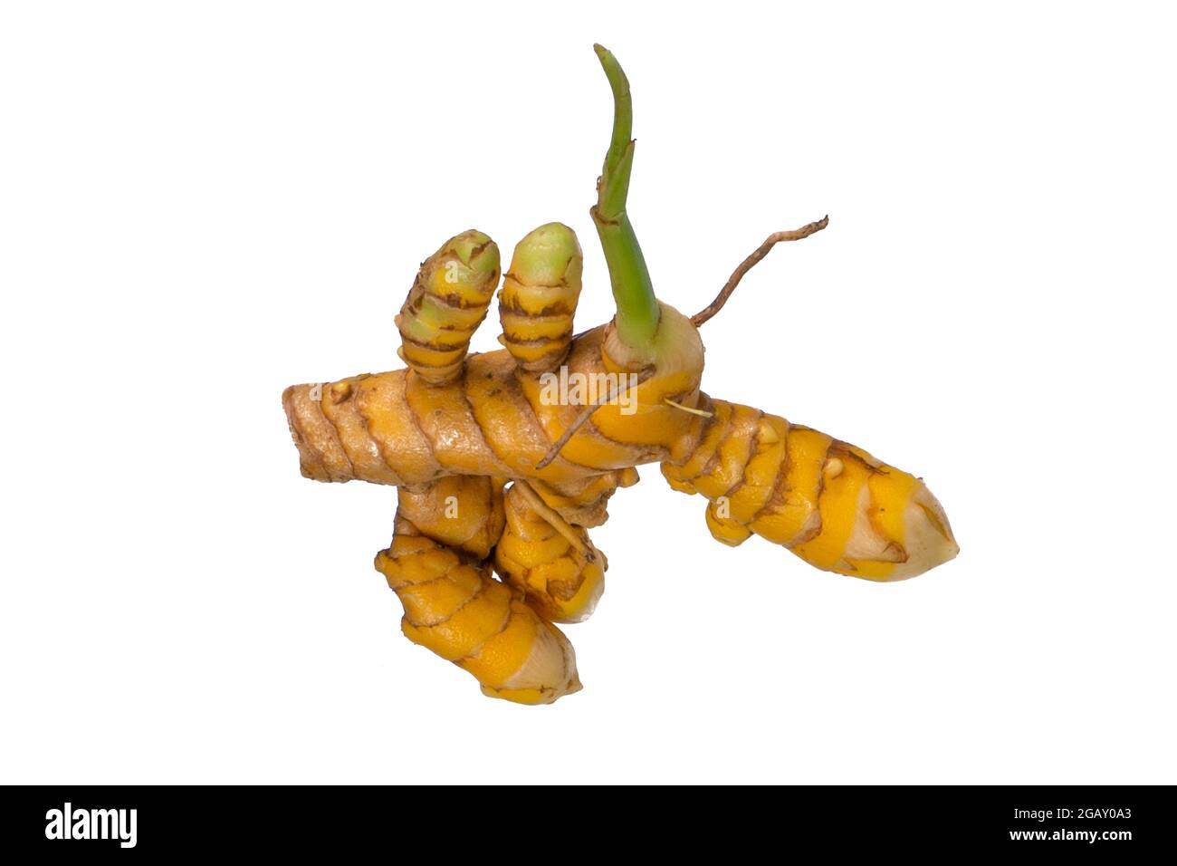 turmeric root, and ground spice Stock Photo Alamy