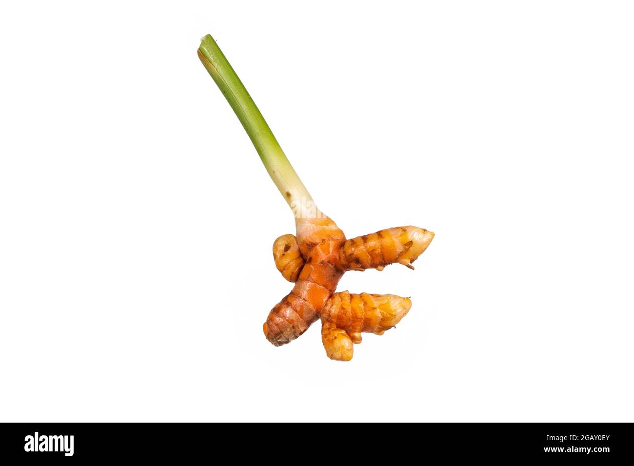 turmeric root, and ground spice Stock Photo Alamy