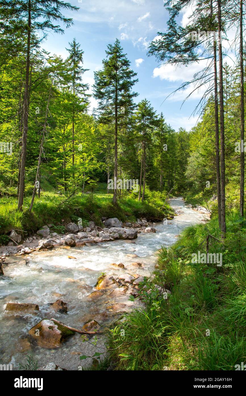 Mountain river (Grünau im Almtal, Upper Austria) Stock Photo