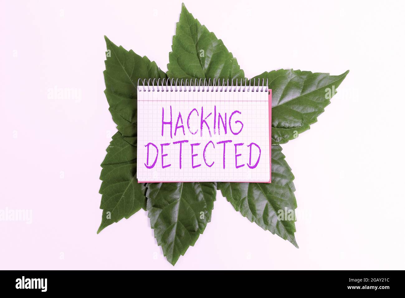 Hand writing sign Hacking Detected, Business approach activities that seek to compromise affairs are exposed Saving Environment Ideas And Plans, Creat Stock Photo