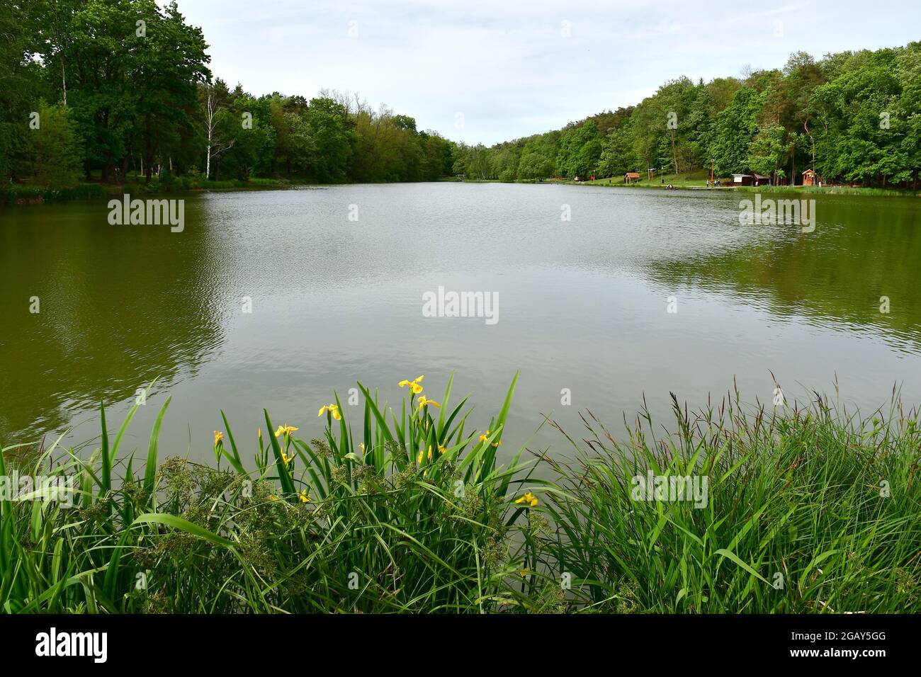 Vadasa lake hi-res stock photography and images - Alamy