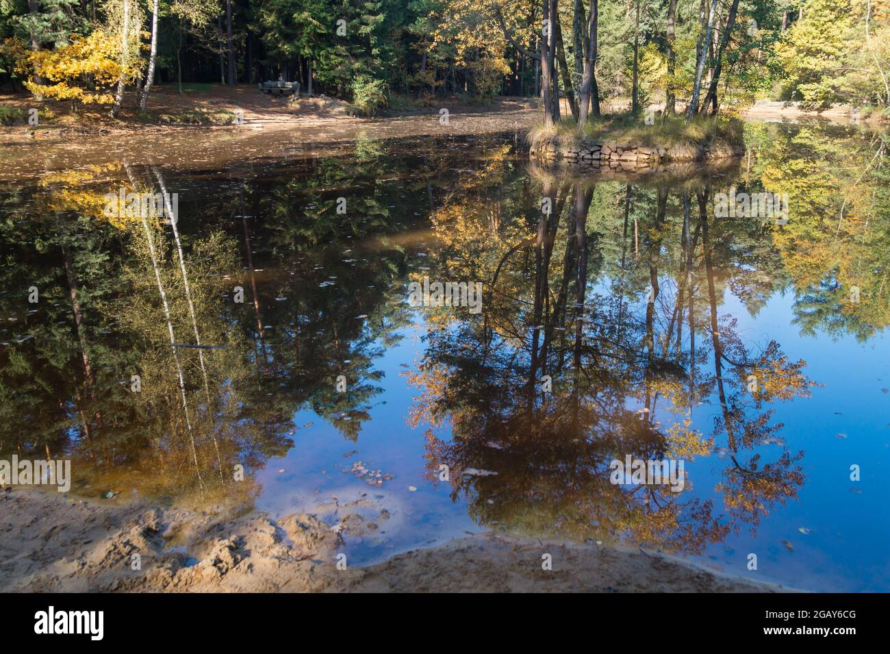 magical reflection of trees and sky in a remote forest lake Stock Photo