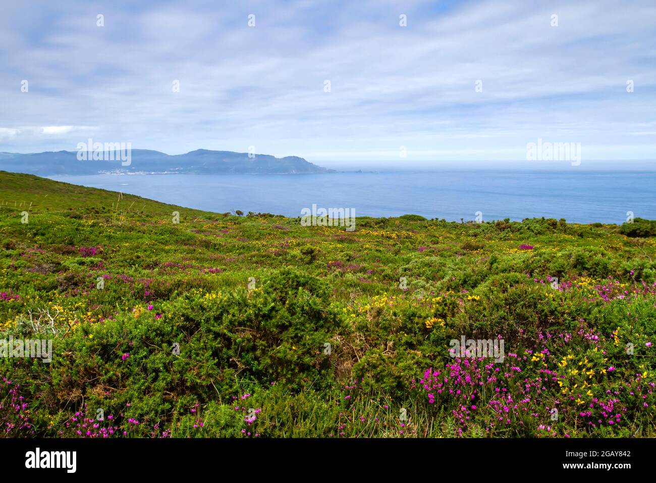 Springtime landscape in the Atlantic coastline of Galicia, Spain Stock Photo