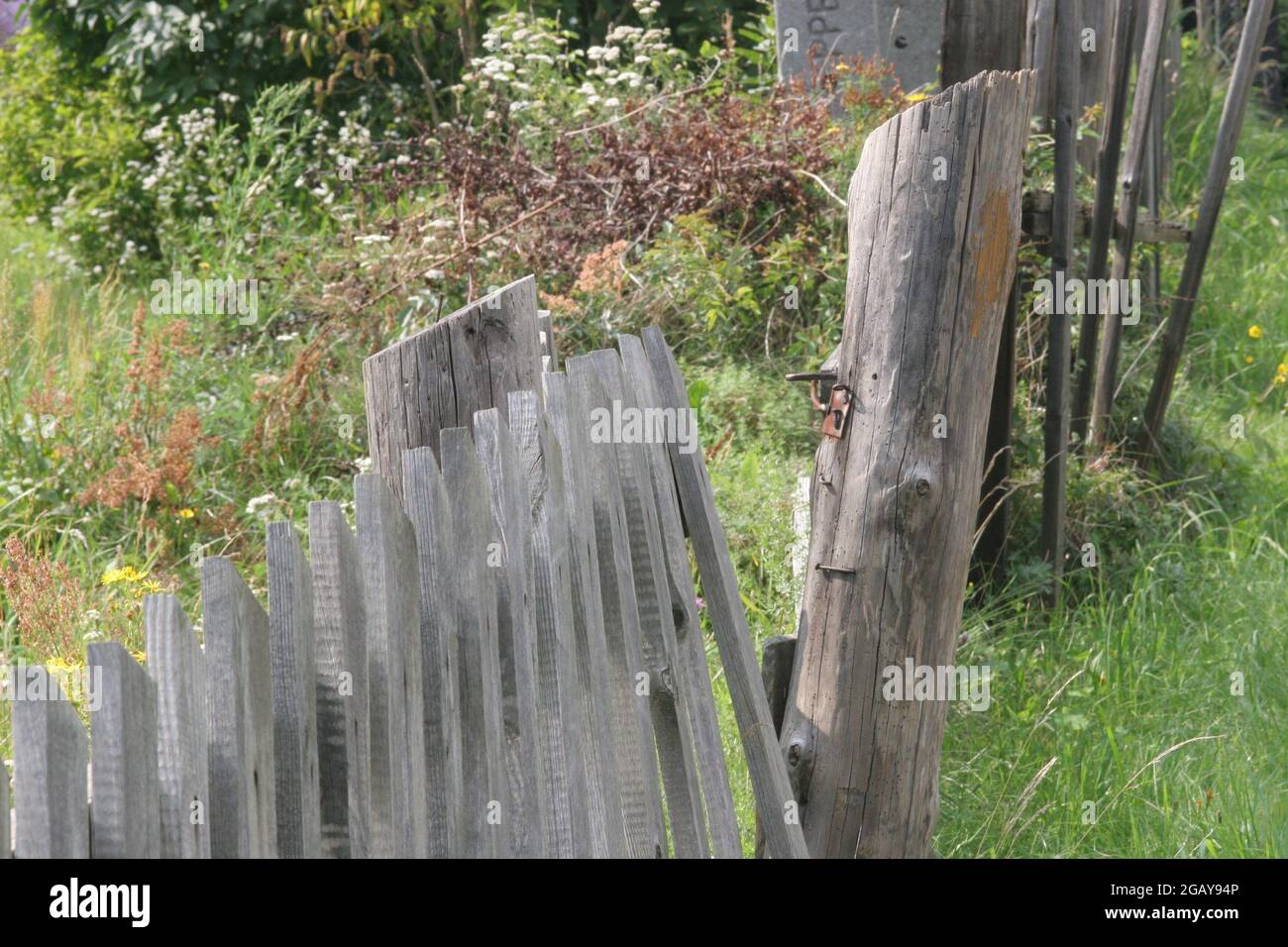 Old wooden fence flowers hi-res stock photography and images - Alamy