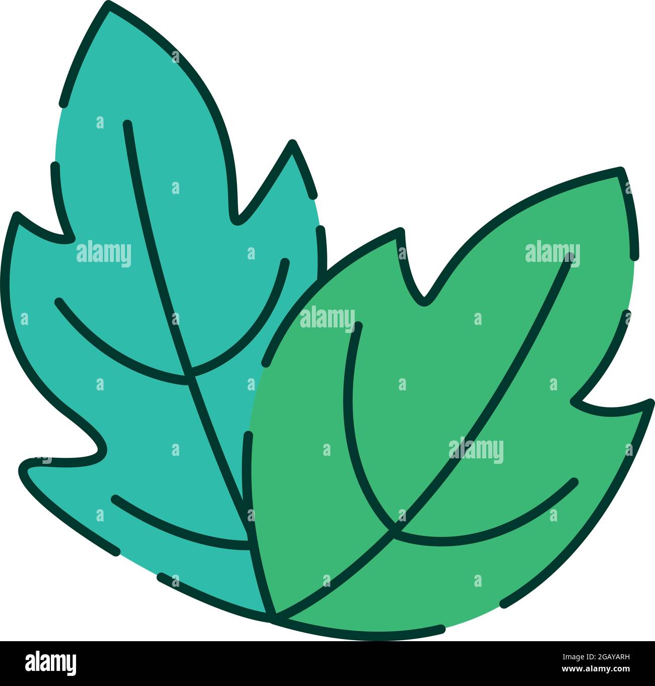 ecology leafs plant nature icon Stock Vector Image & Art - Alamy