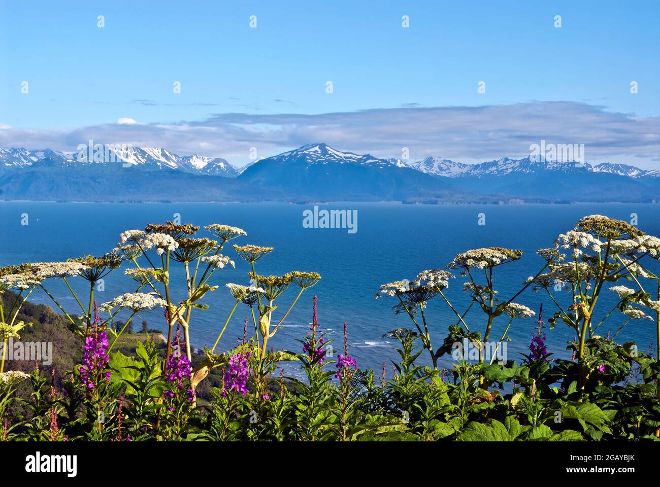 Bay of alaska hires stock photography and images Alamy