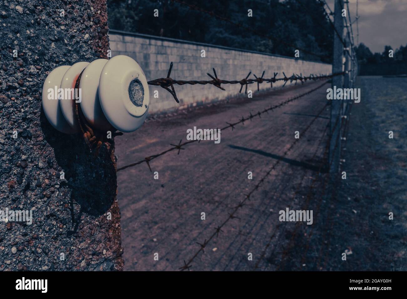 Electric fencing hi-res stock photography and images - Page 11 - Alamy
