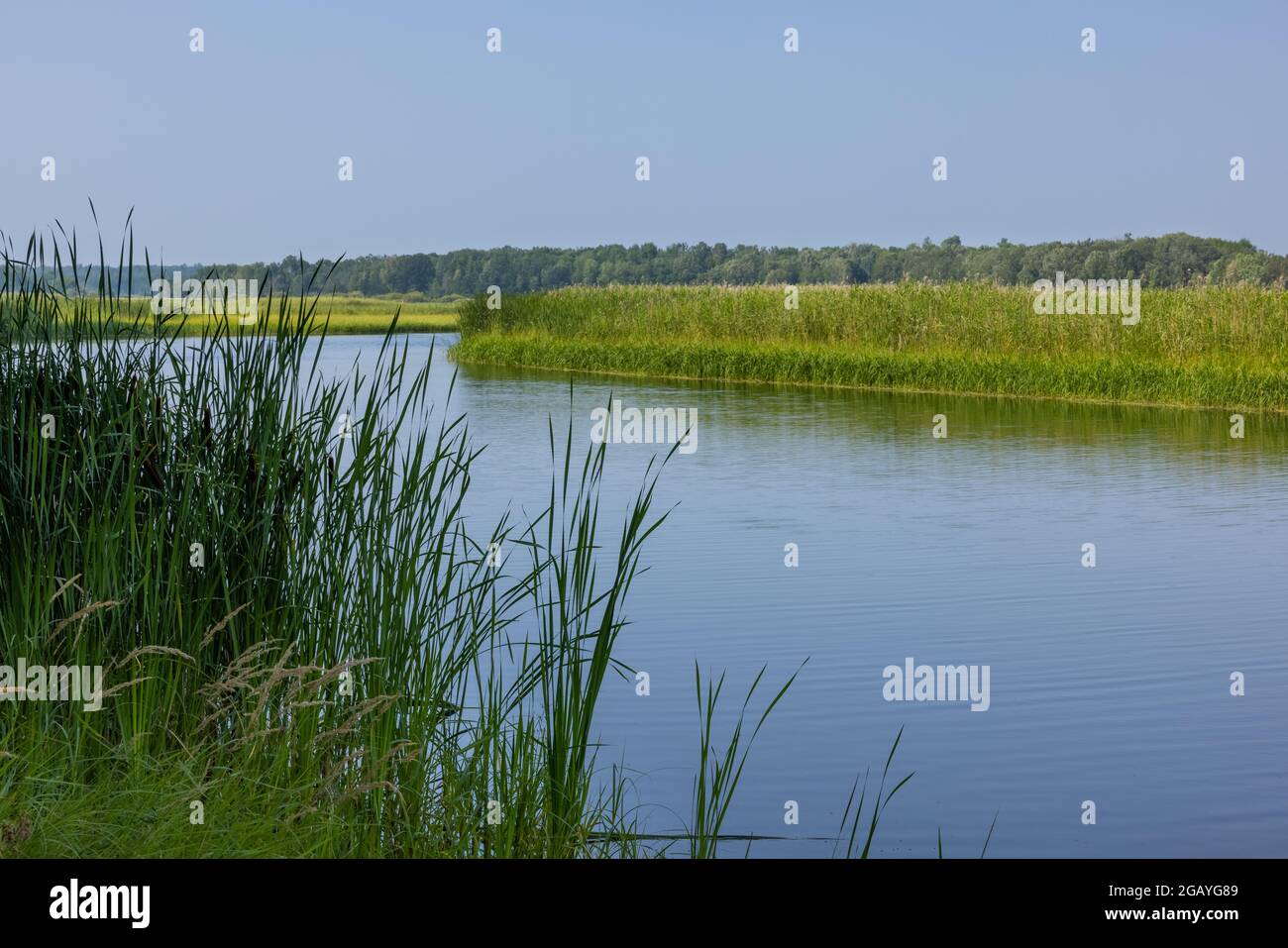Mississippi River In Northern Minnesota Stock Photo Alamy