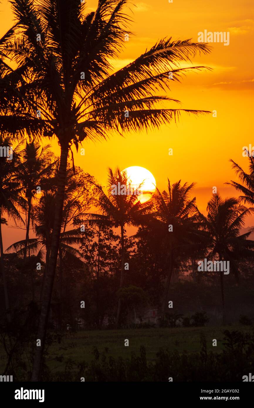 Beautiful Scenery - Sunrise Scenery Wallpaper Download | MobCup-tiepthilienket.edu.vn