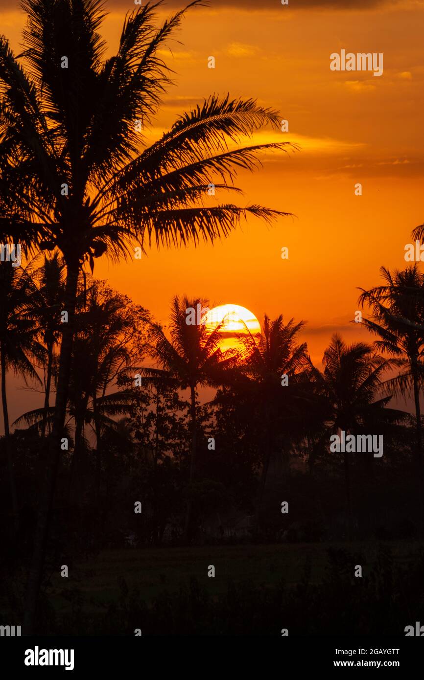 Sunset, Sunrise Summer   Sky, amazing  colorful   , sun Stock Photo  - Alamy