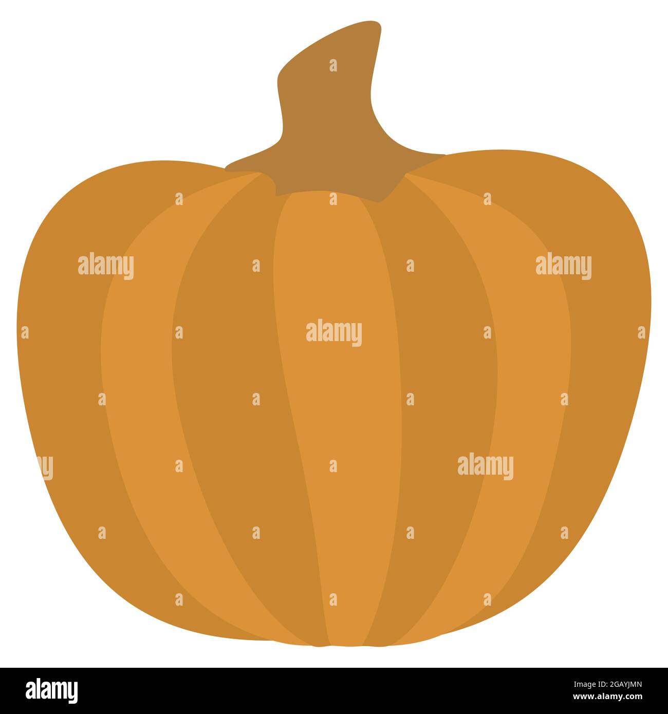 Pumpkin Isolated vector illustration Gourd For Thanksgiving Day or Halloween design Stock Vector