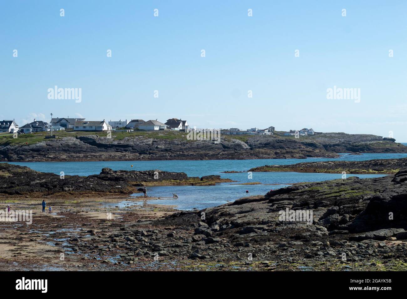 Trearddur Bay, Anglesey, Wales. Rocky coastline. Beautiful seaside landscape. Low cliffs and a broad sandy beach at low tide.  Blue sky and copy space Stock Photo
