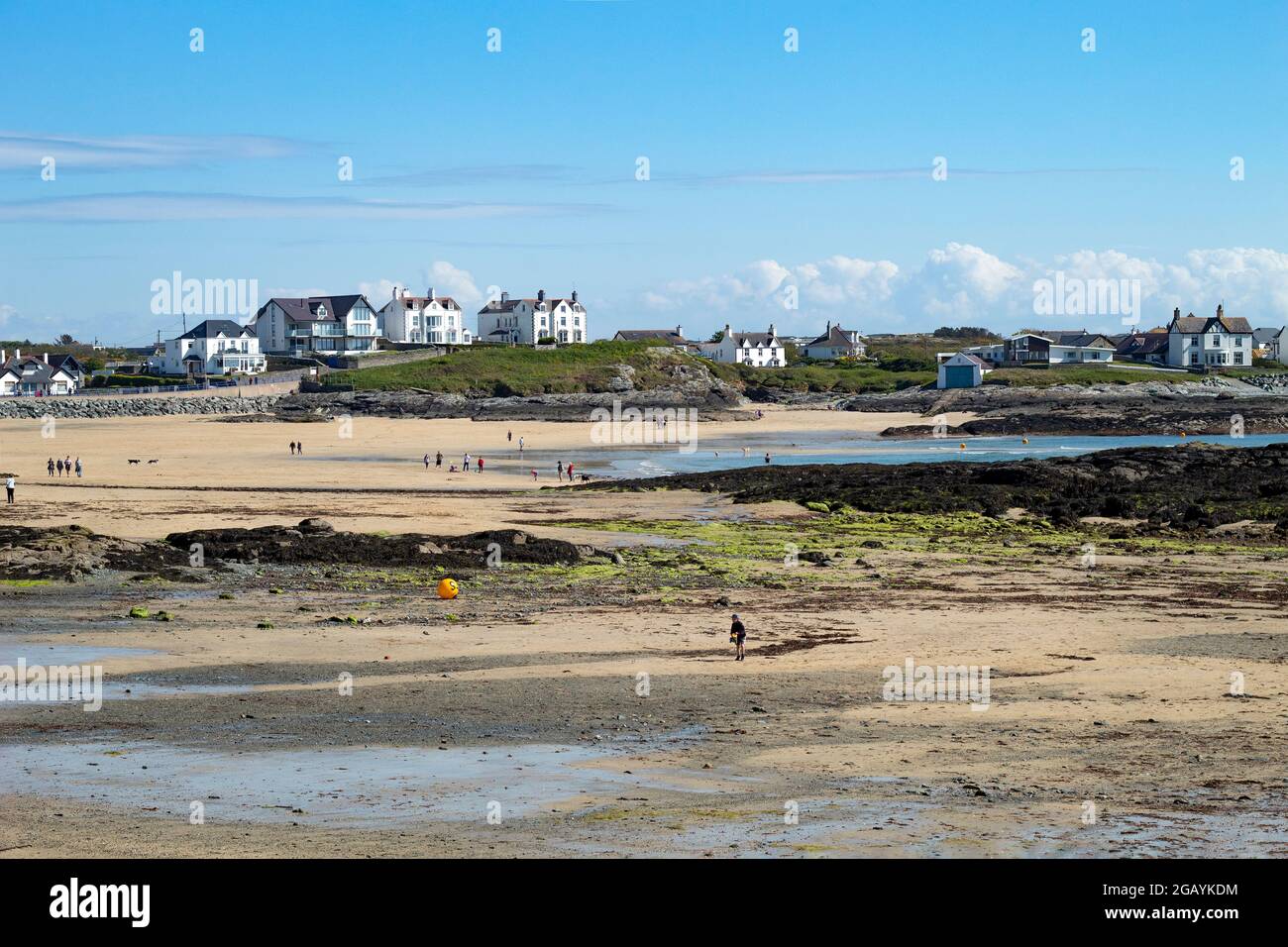 Trearddur Bay, Anglesey, Wales. Beautiful Welsh seaside landscape.  Low tide seascape with a broad sandy beach. Blue sky and copy space. Stock Photo