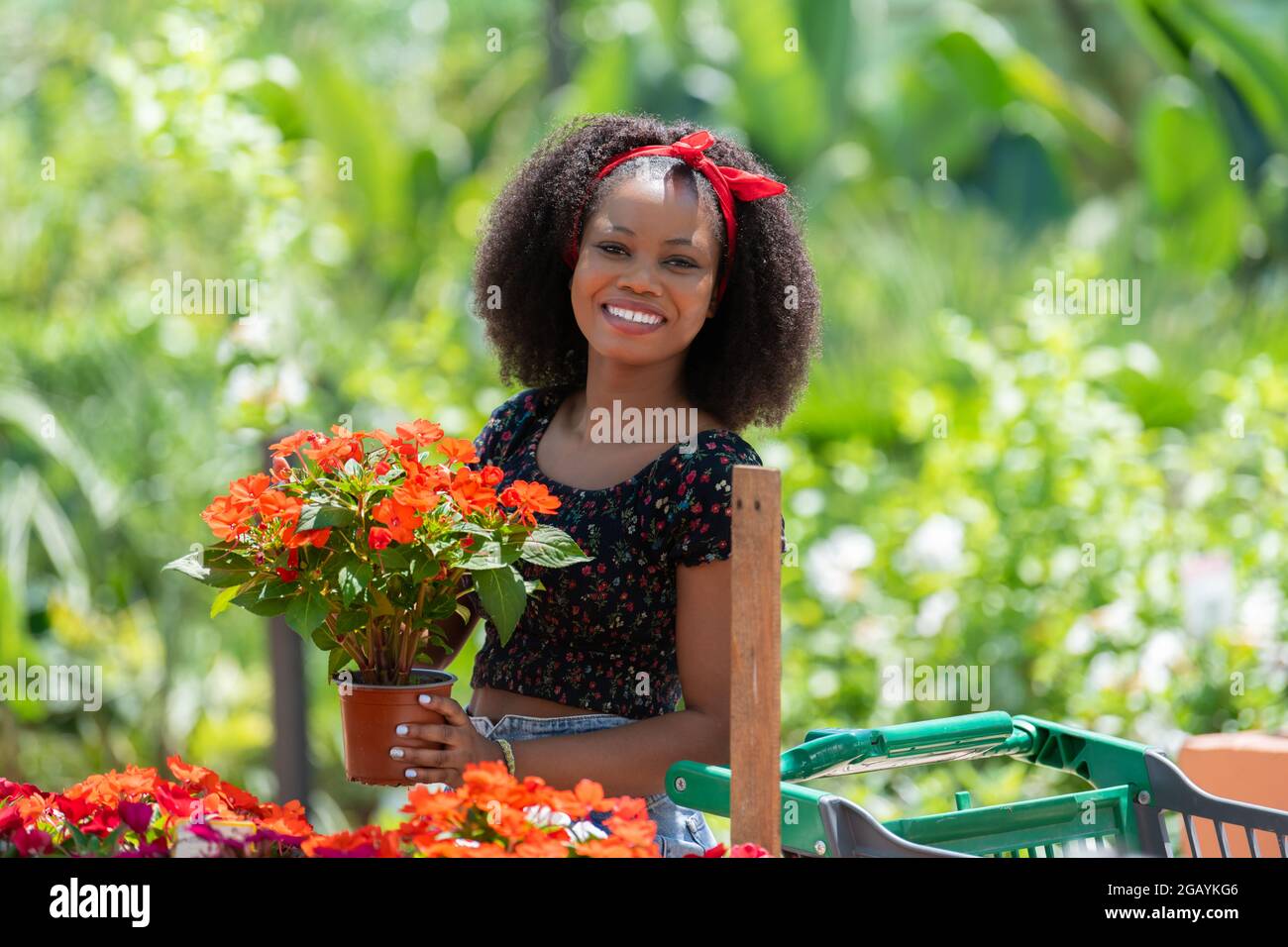 View of a latina woman smiling in a greenhouse Stock Photo - Alamy