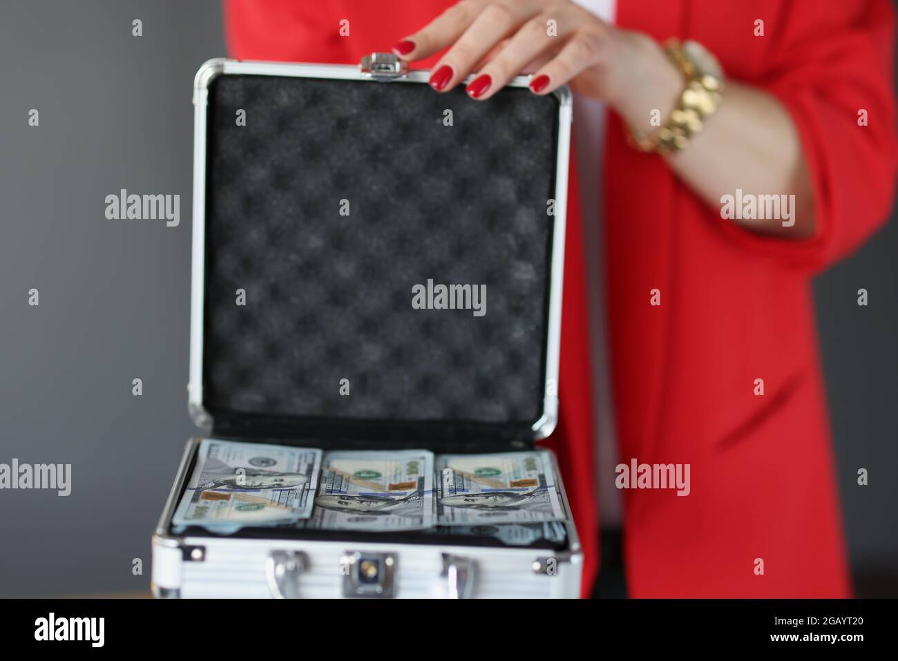 Rich Mans Vacation Suitcase On Brown Backdrop Stock Photo - Download Image  Now - Louis Vuitton - Designer Label, Suitcase, Inside Of - iStock