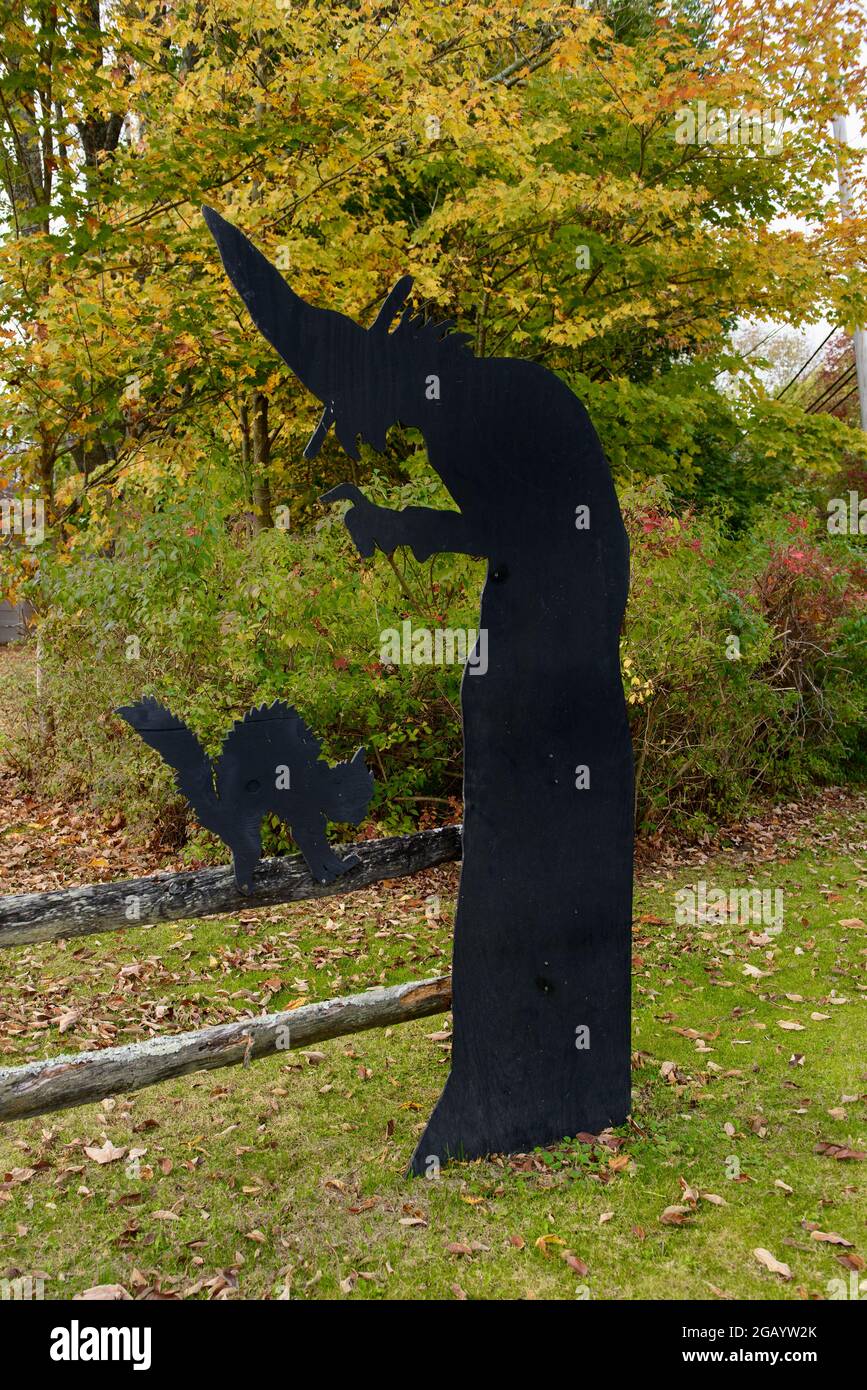 Black witch and cat on a fence for Halloween Stock Photo