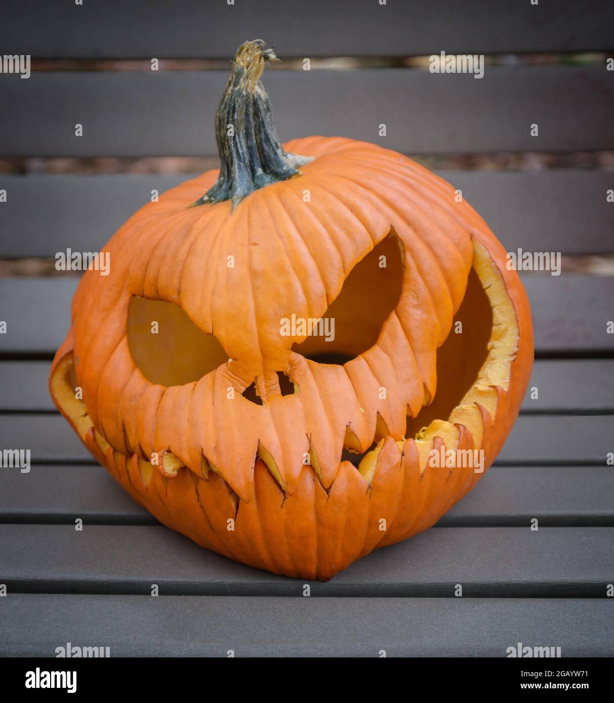 Closeup of one large, carved pumpkin with a scary look, melting on a bench Stock Photo