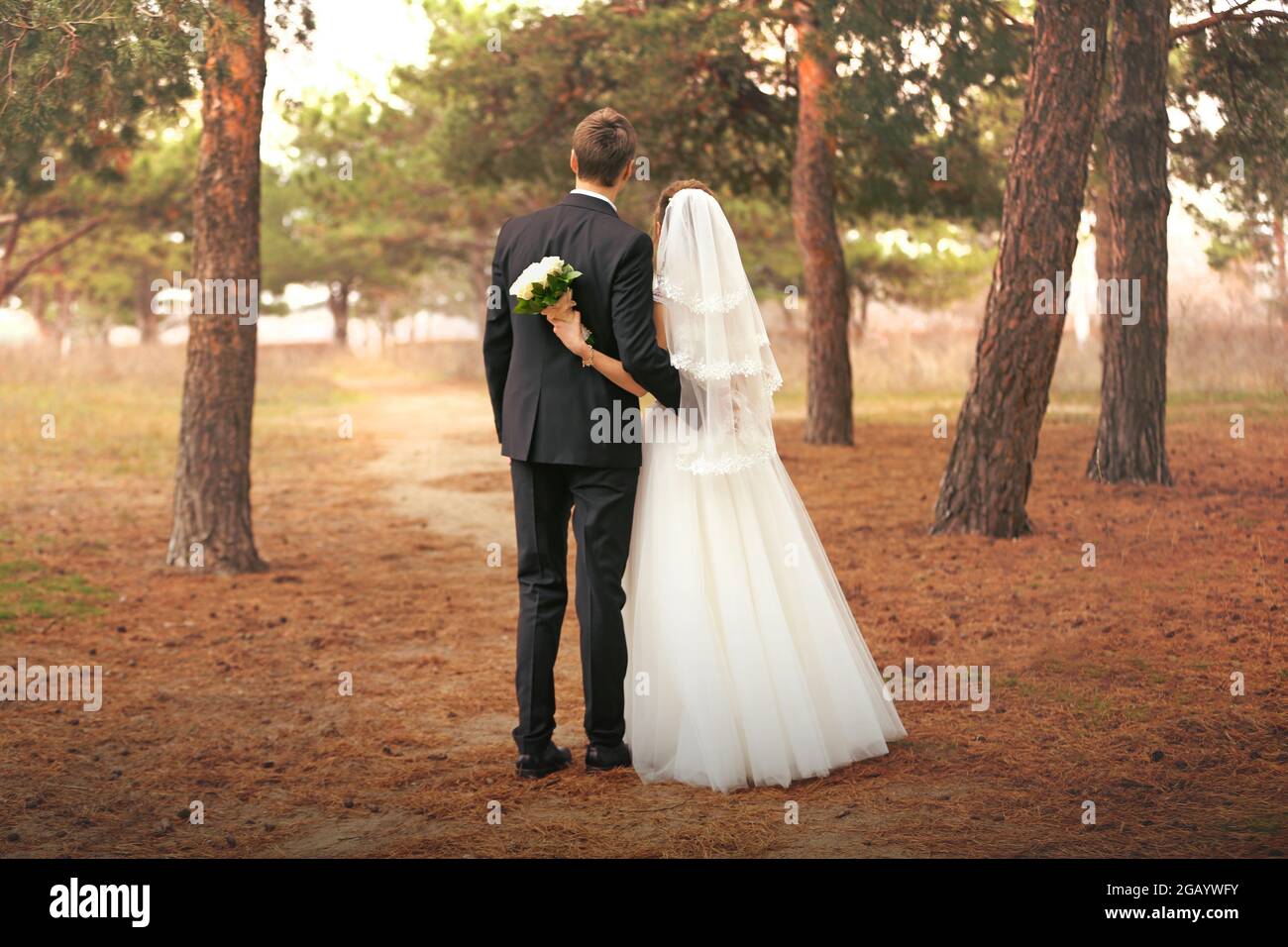 Beautiful groom and bride standing back on a forest background Stock ...