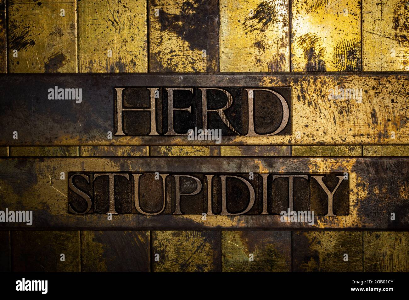 Herd Stupidity text on grunge textured copper and gold background Stock Photo