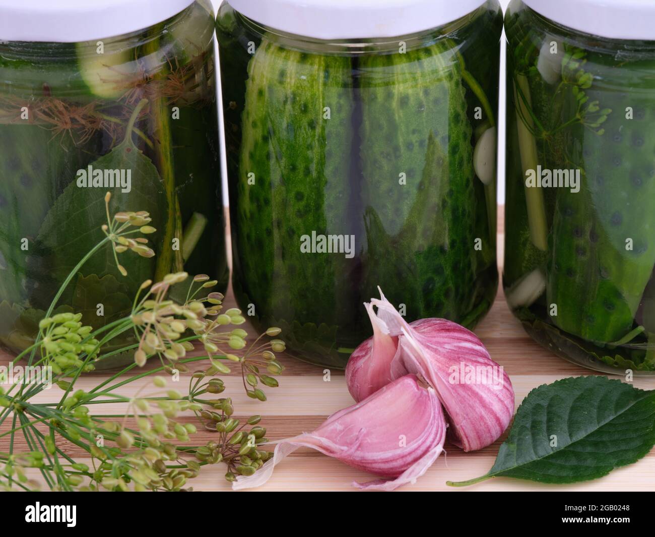 Homemade pickled cucumbers in a glass jars. Close up. Stock Photo