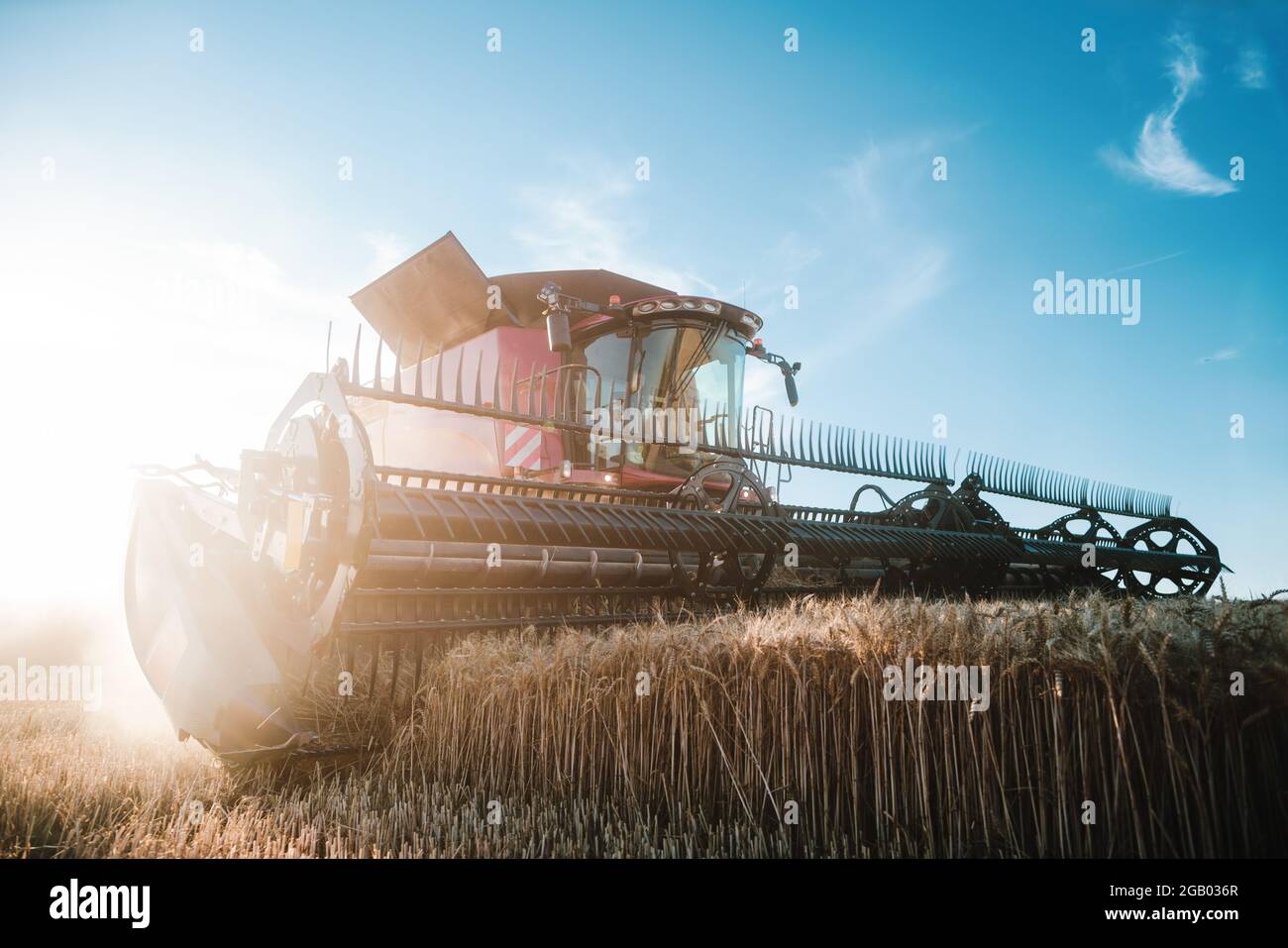 Combine harvester on grain field during harvest time Stock Photo
