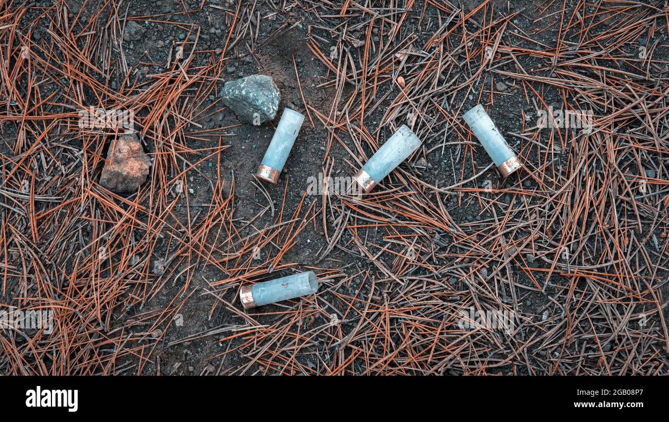 Plastic hunting cartridge cases on the ground in pine forest during hunting season in autumn Stock Photo