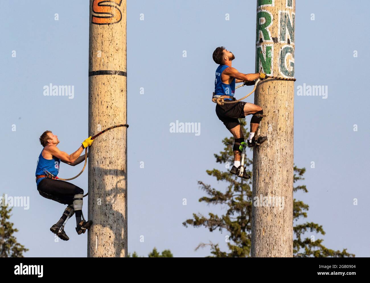 Hayward, USA. 1st Aug, 2021. Participants compete in climbing during the 61st Lumberjack World Championships in Hayward, Wisconsin, the United States, on July 31, 2021. The championships held here showcased lumberjacks and lumberjills competing in sawing, chopping, speed climbing, log rolling, and boom-running. Credit: Joel Lerner/Xinhua/Alamy Live News Stock Photo