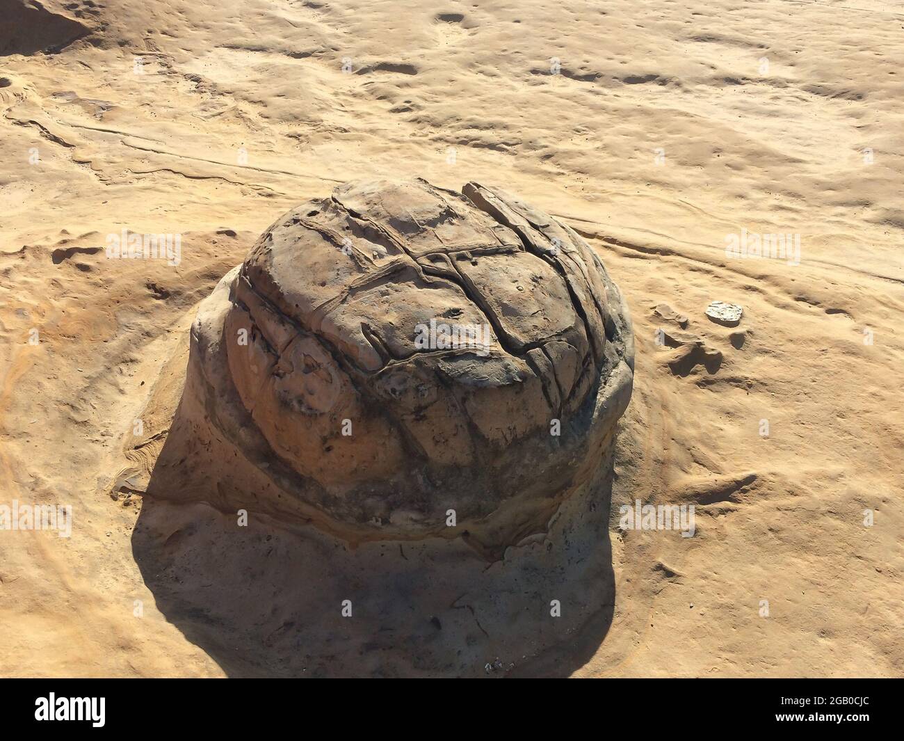 Pineapple Bun of Yehliu Geopark Park in the northern coast of Taiwan