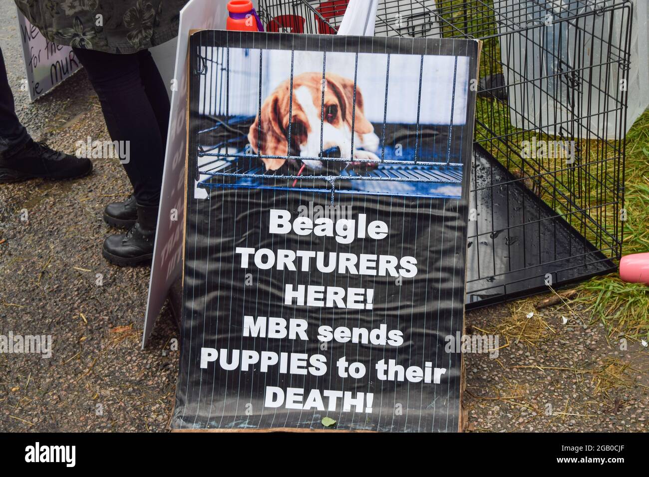 Huntingdon, United Kingdom. 1st August 2021. Animal welfare activists gathered outside the MBR Acres beagle breeding site to demand the release of 2000 beagles the protesters claim are being reared for use in cruel experiments. Dozens of activists have also set up long-term camping outside the site to pressure the company to release the dogs and close the facilities. (Credit: Vuk Valcic / Alamy Live News) Stock Photo