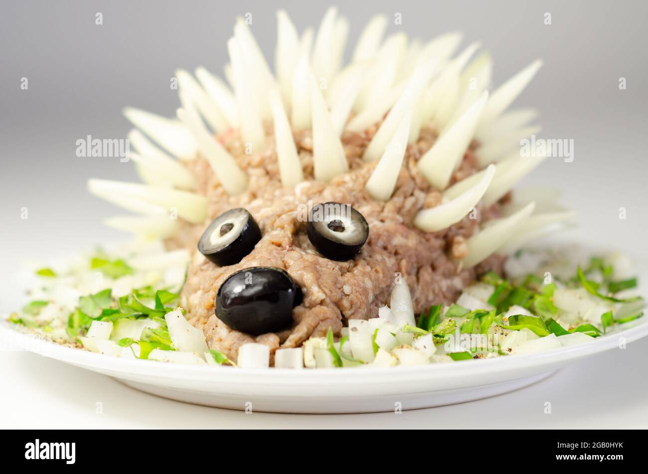 Hedgehogs Food Dish Cheapest Prices