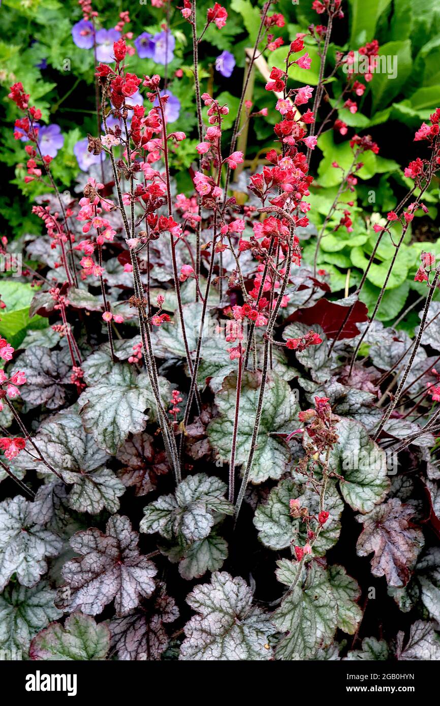 Small Silver Bells -  UK