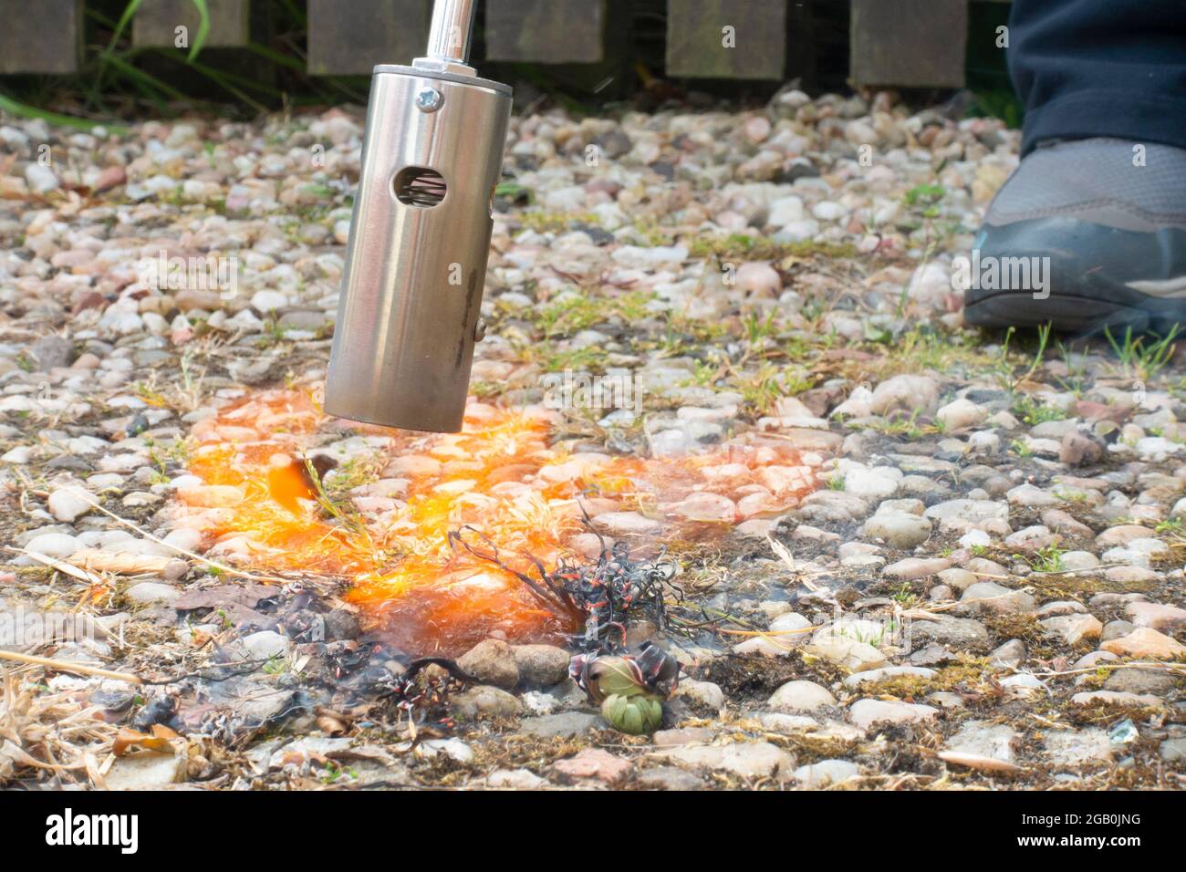 Using a flame burner to burn weeds in a gravel path Stock Photo Alamy