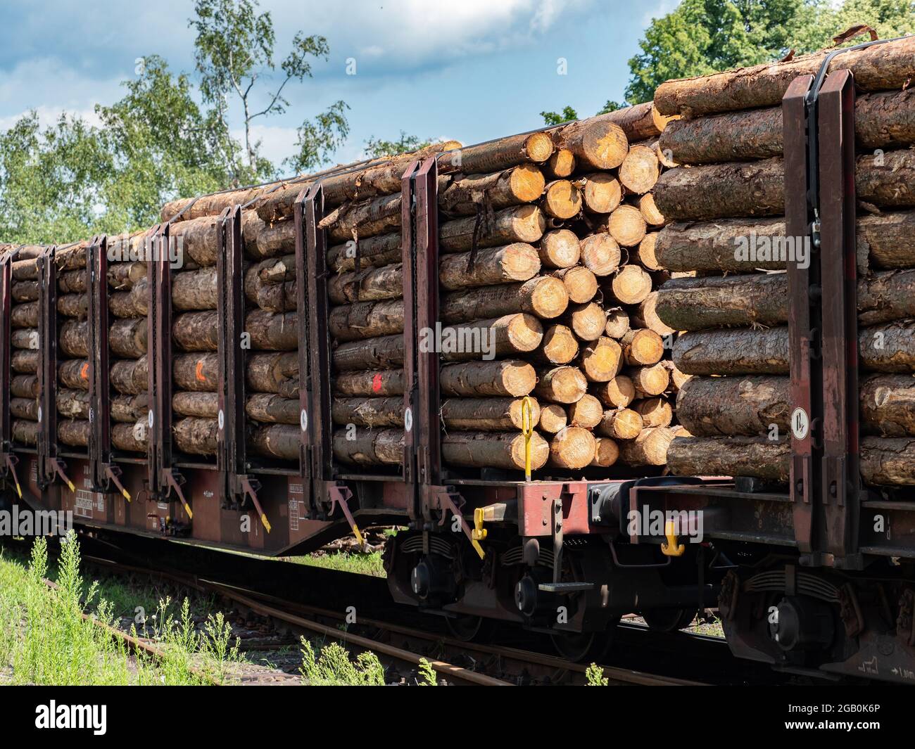 Freight cars loaded with wood logs on railway tracks. Transportation of