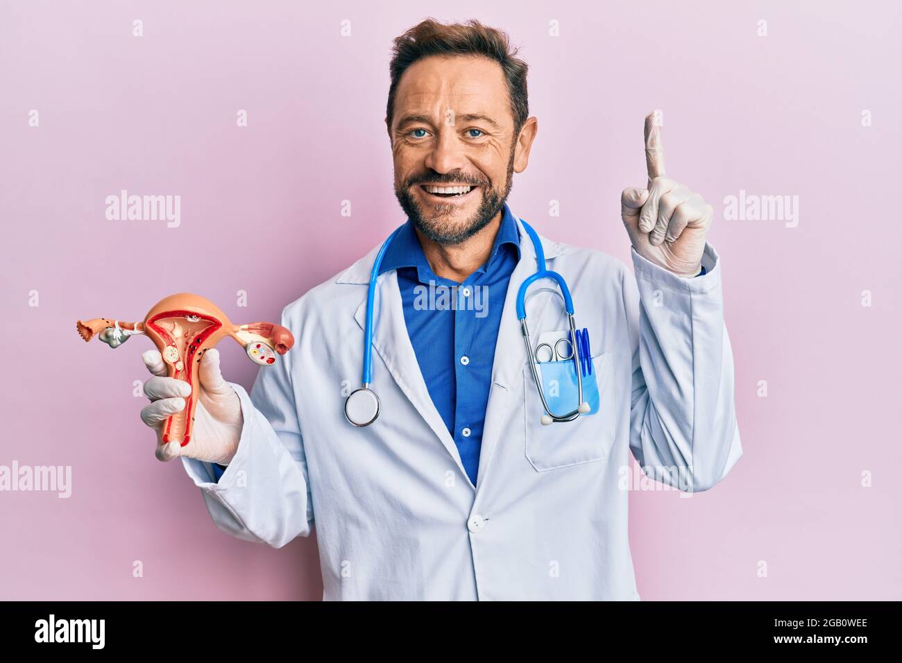 Middle age gynecologist man holding anatomical model of female genital organ smiling with an idea or question pointing finger with happy face, number Stock Photo