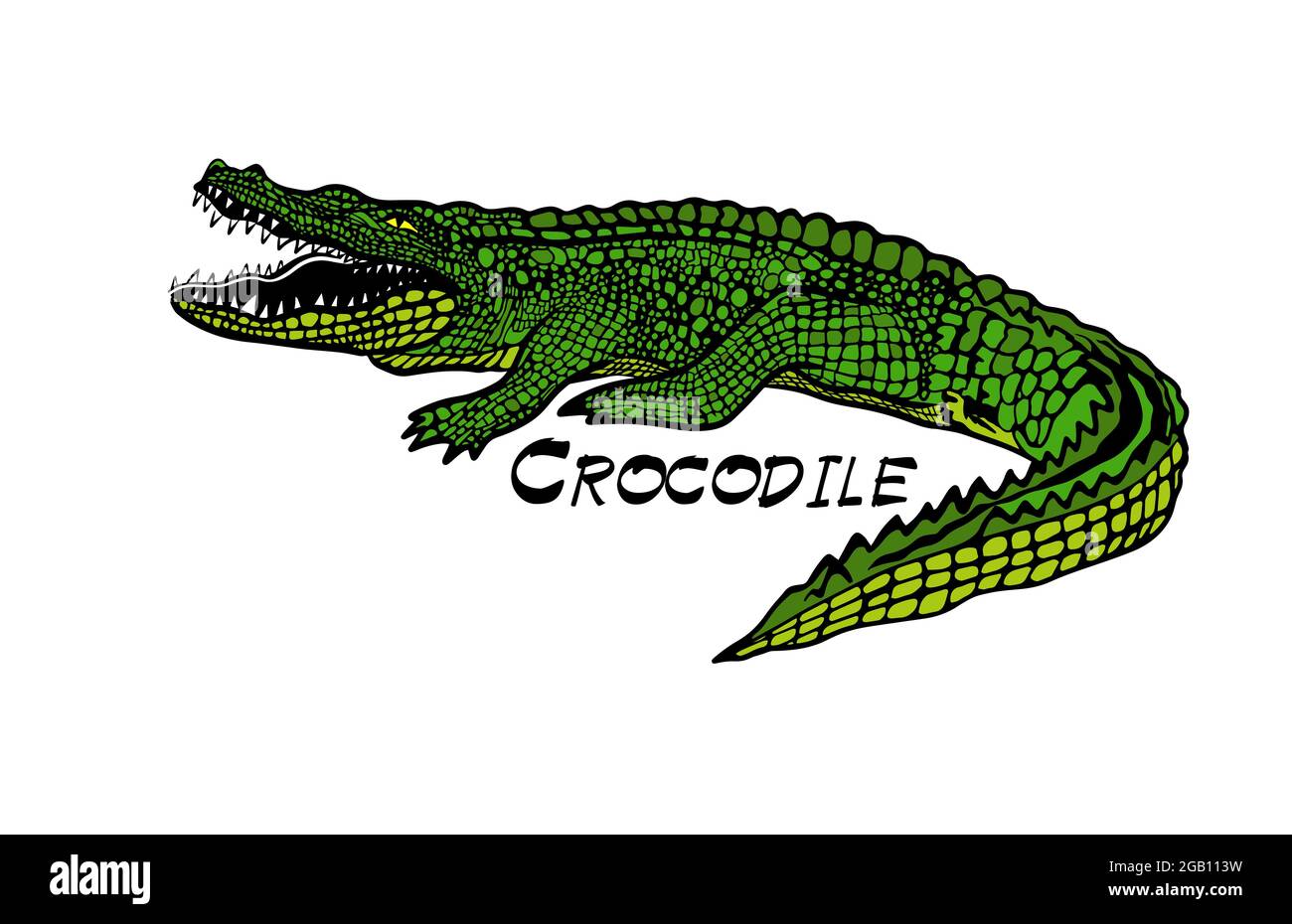 Crocodile green graphic object. Vector illustration Stock Vector Image