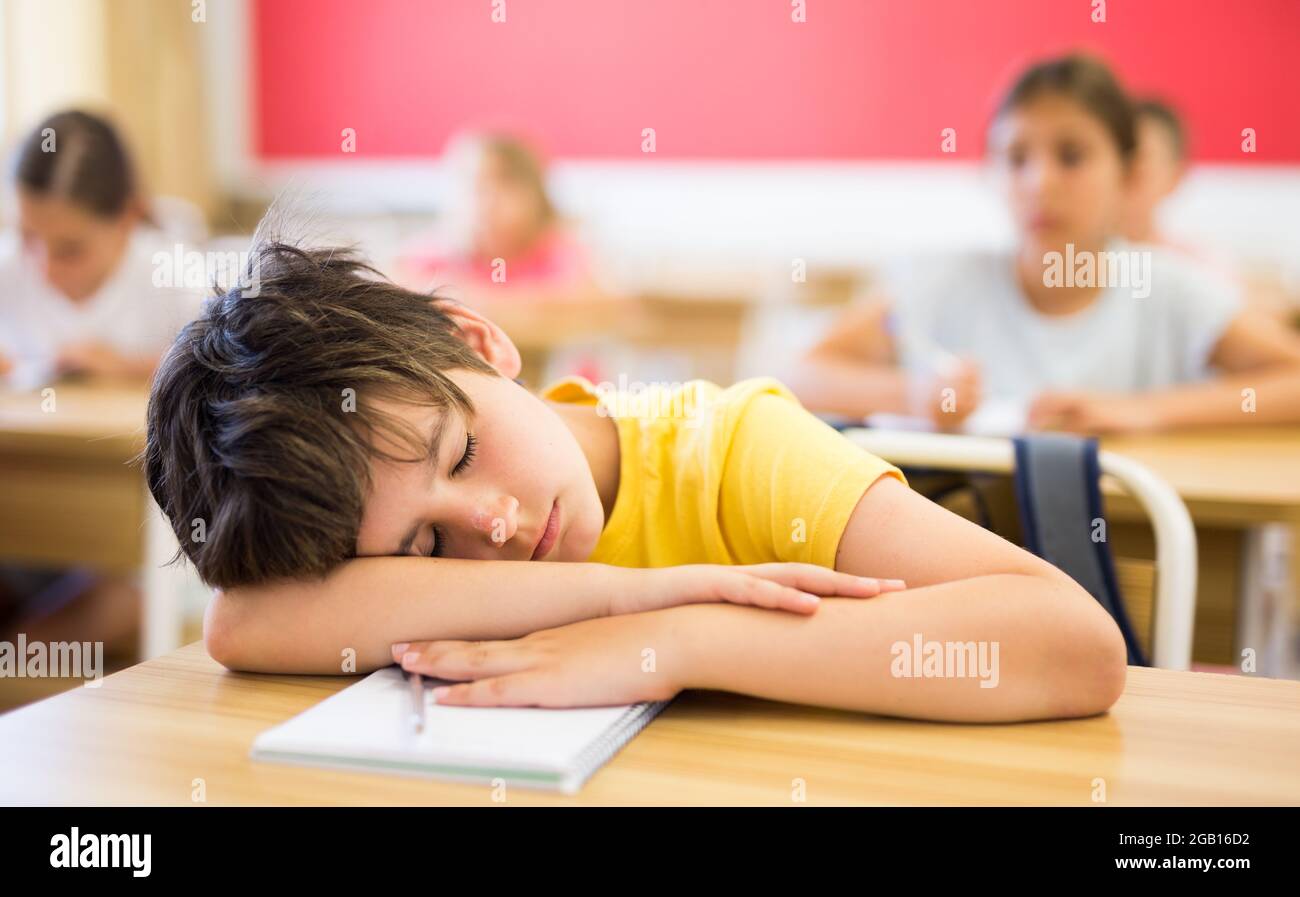 Bored tween boy sleeping at desk in classroom during lesson Stock Photo