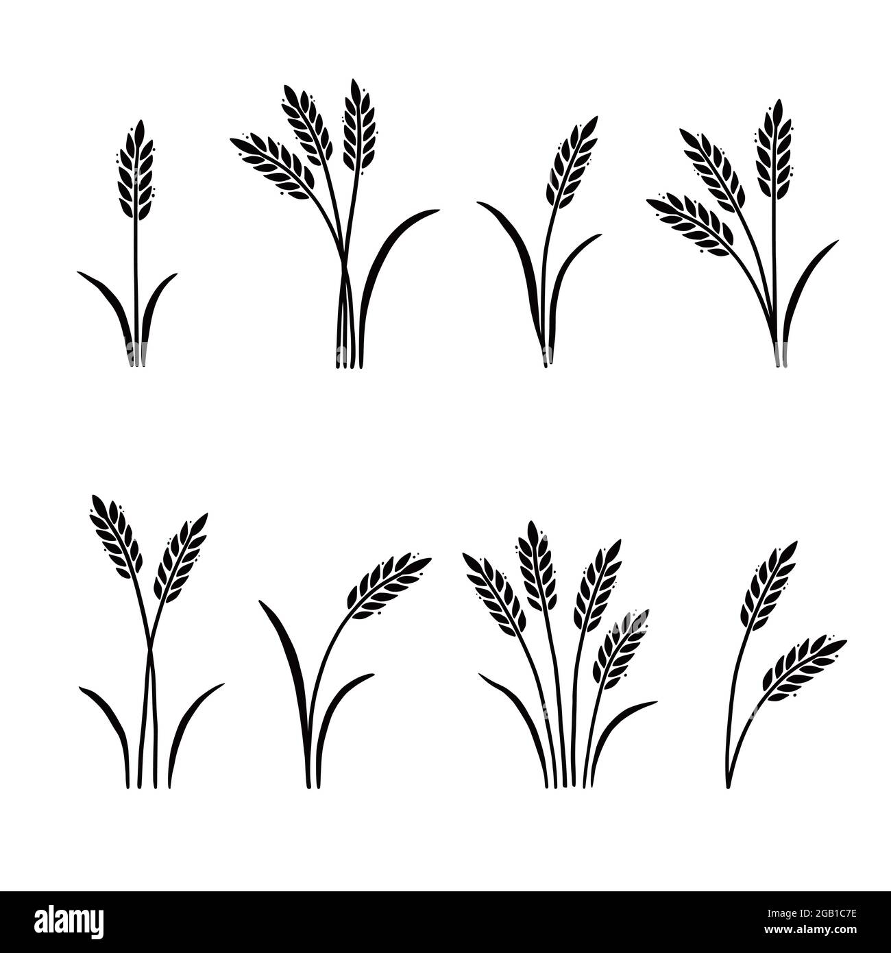 Wheat, barley, rice icon. Hand drawn sketch style oat with grain. Wheat ...