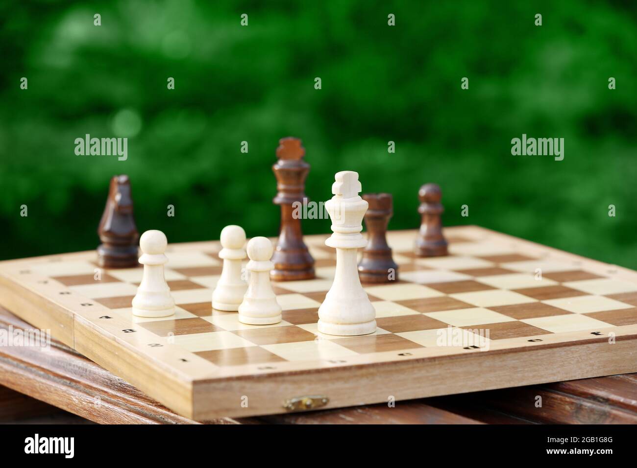 pieces and game board on nature background Stock
