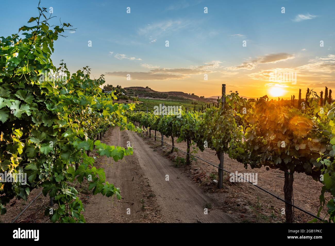 Beautiful winery in Temecula, California Stock Photo