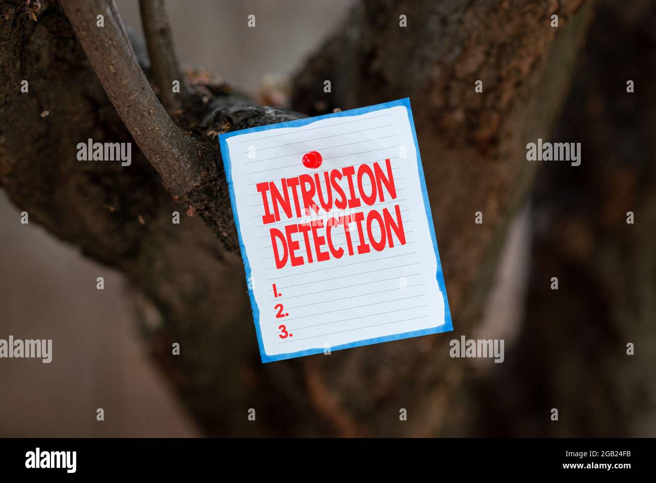 Text showing inspiration Intrusion Detection. Business showcase monitors a network or systems for malicious activity Thinking New Bright Ideas Stock Photo