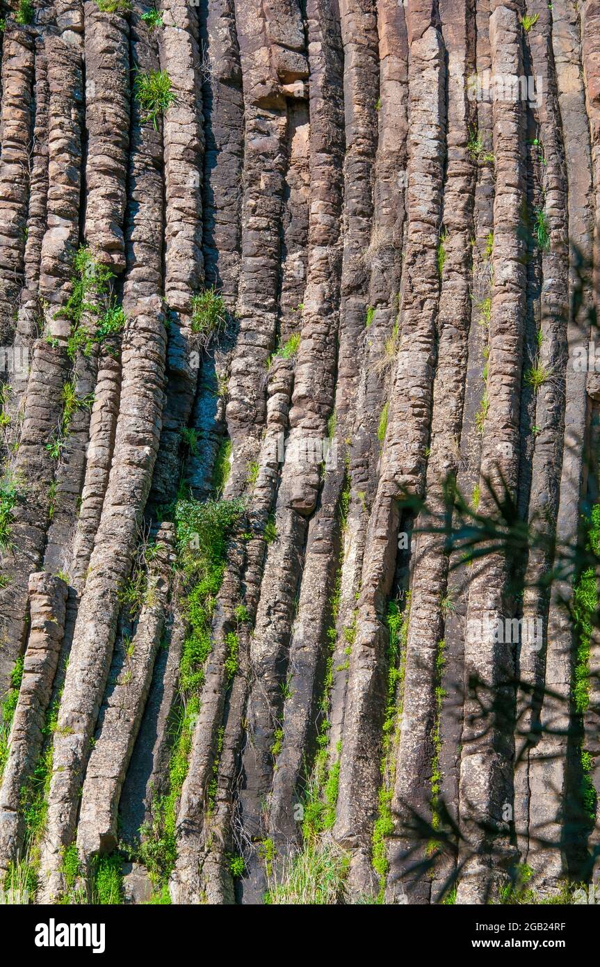 Columnar basalt formation at the edge of an ancient lava flow, Organ