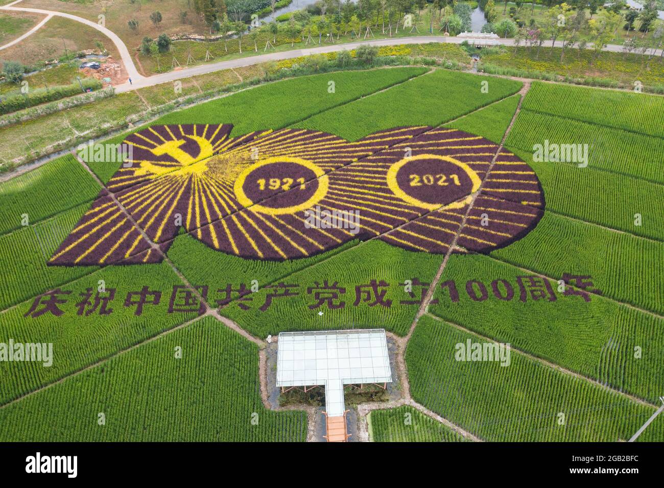Colorful rice fields in Yunnan, China Stock Photo - Alamy