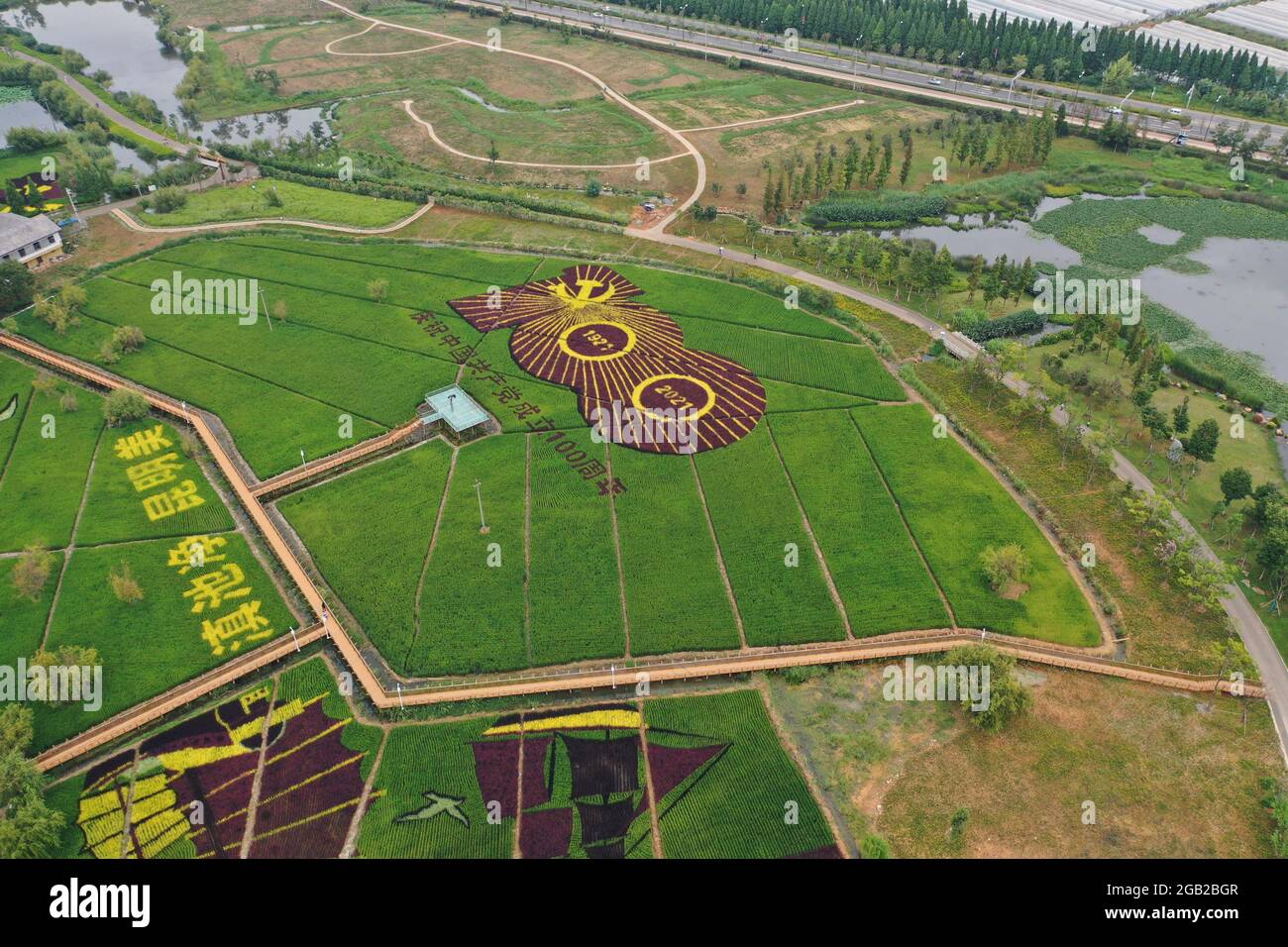 Colorful rice fields in Yunnan, China Stock Photo - Alamy