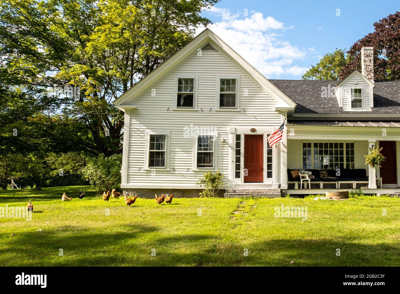 Rhode island red chickens hires stock photography and images Alamy