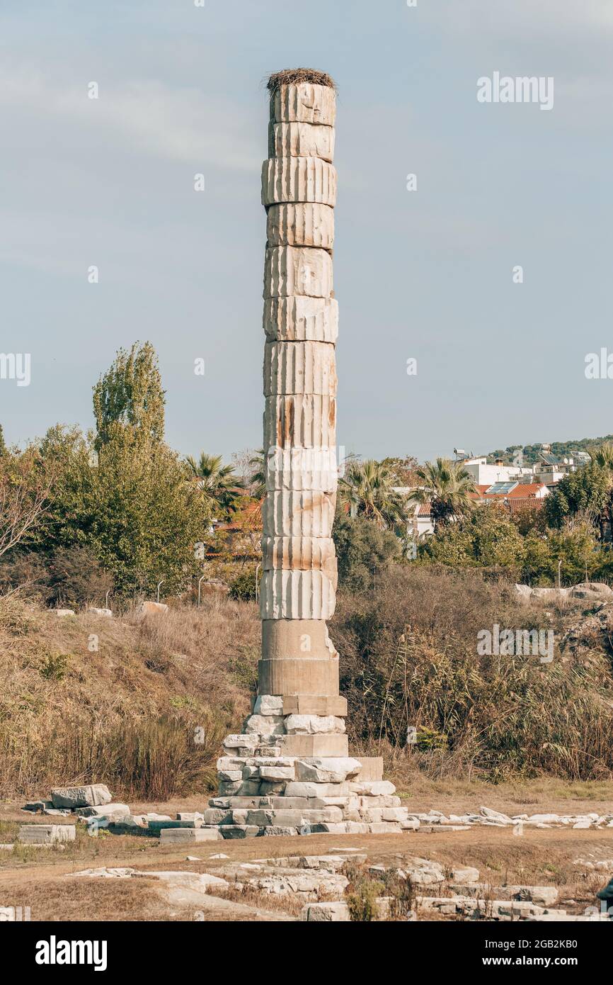 Ruins of Artemis temple in Ephesus Ancient City, Selcuk,Turkey. Stock Photo
