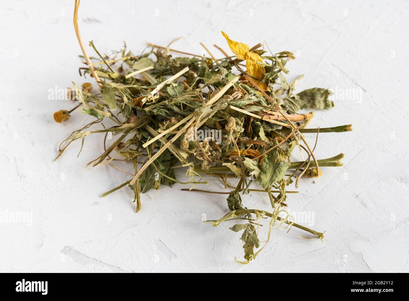 different dried flowers for hamster healthy eating Stock Photo Alamy