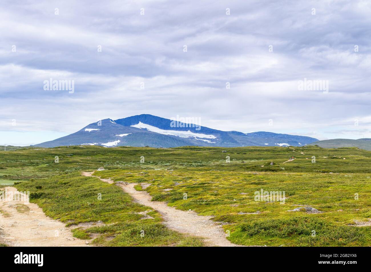 Hiking trail in Helags mountain scenery in the summer in Sweden Stock Photo
